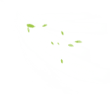 新(xin)風係(xi)統